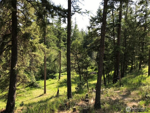 1111 Nine Mile Rd, Oroville, WA 98844 - photo 36