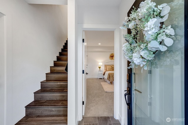 staircase featuring carpet floors