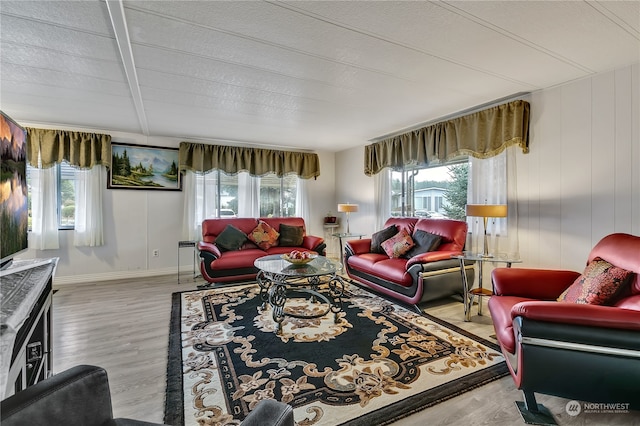 living room featuring wood walls and light hardwood / wood-style floors