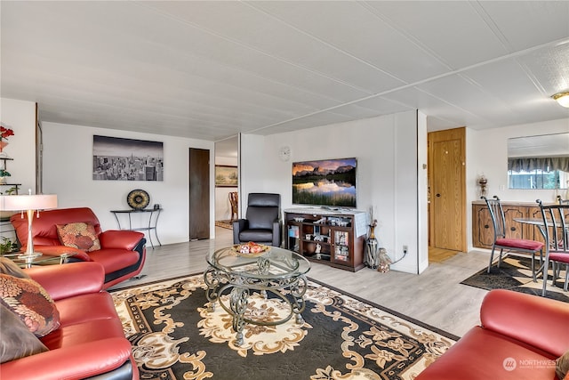 living room featuring light hardwood / wood-style floors