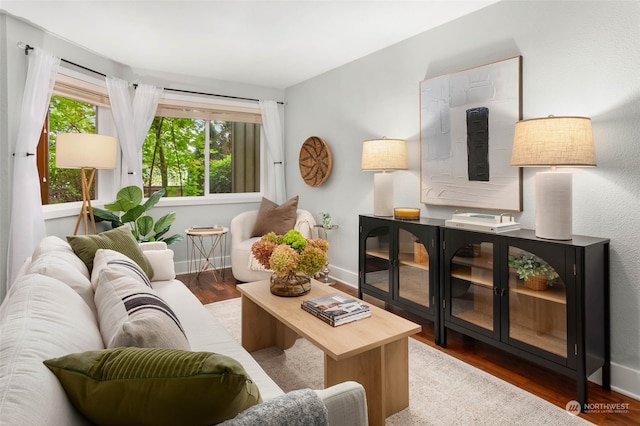 living room with hardwood / wood-style flooring