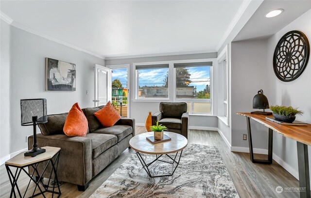 living room with crown molding and light hardwood / wood-style flooring