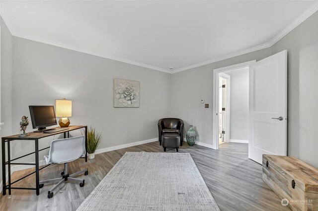 office space featuring crown molding and wood-type flooring