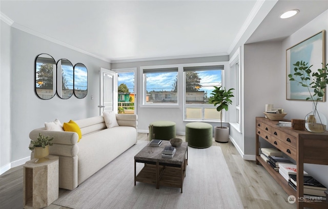 living room featuring ornamental molding and light hardwood / wood-style flooring