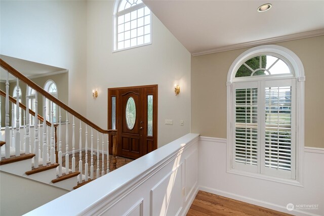 entryway featuring a high ceiling and hardwood / wood-style flooring