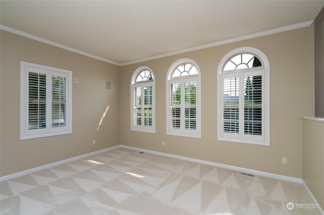 spare room with light colored carpet and crown molding