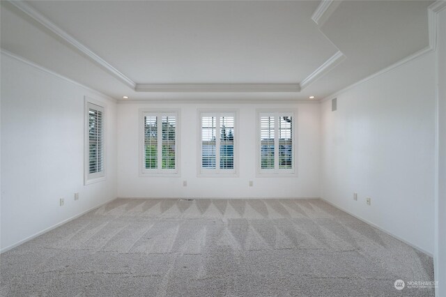 empty room with visible vents, a raised ceiling, carpet flooring, and crown molding