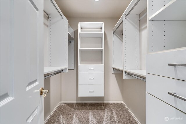 spacious closet featuring carpet