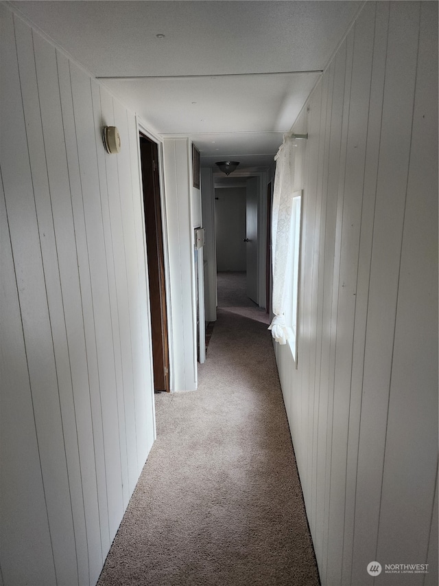 corridor featuring carpet flooring and wooden walls