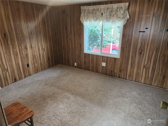 empty room featuring wooden walls and carpet