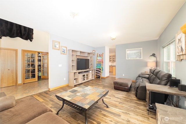 living room with hardwood / wood-style flooring