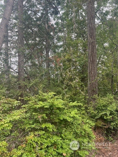 919 Sanford Ave, Lakebay, WA 98349 - photo 1