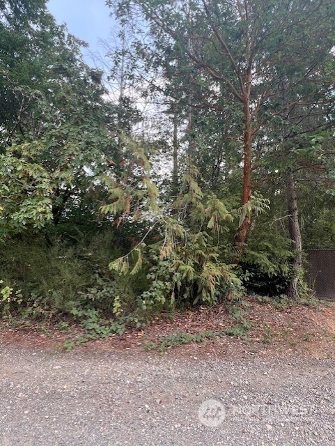 919 Sanford Ave, Lakebay, WA 98349 - photo 3