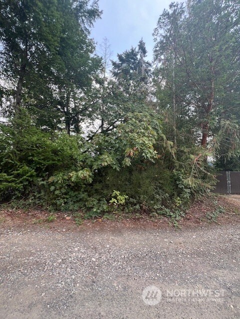 919 Sanford Ave, Lakebay, WA 98349 - photo 7