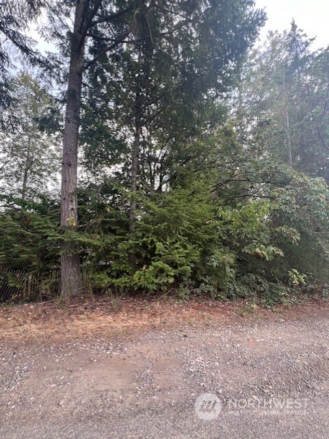 919 Sanford Ave, Lakebay, WA 98349 - photo 8