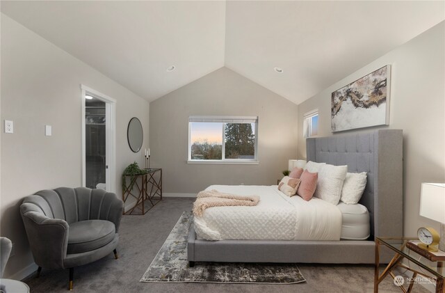 carpeted bedroom with vaulted ceiling and a walk in closet