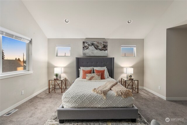 bedroom featuring lofted ceiling and carpet