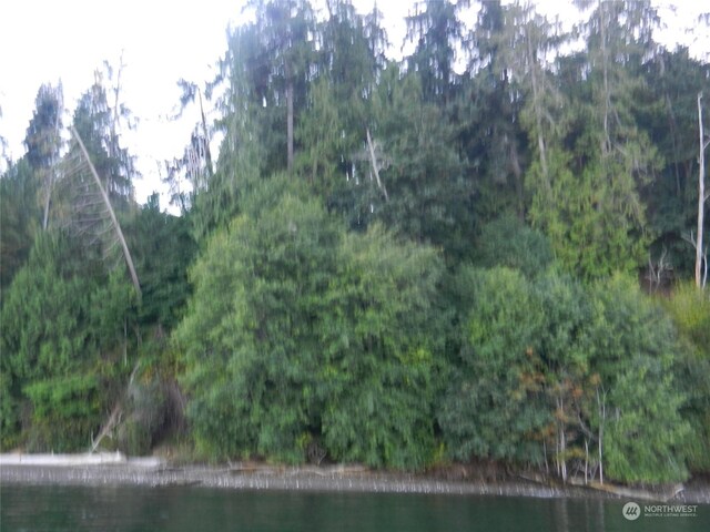 9999 Harrington Dr, Quilcene, WA 98376