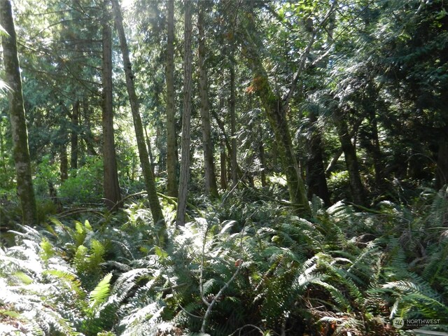 9999 Harrington Dr, Quilcene, WA 98376