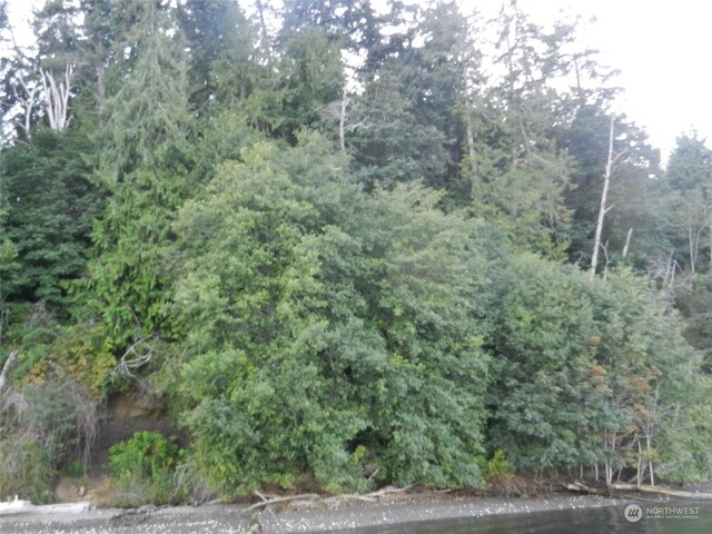 9999 Harrington Dr, Quilcene, WA 98376