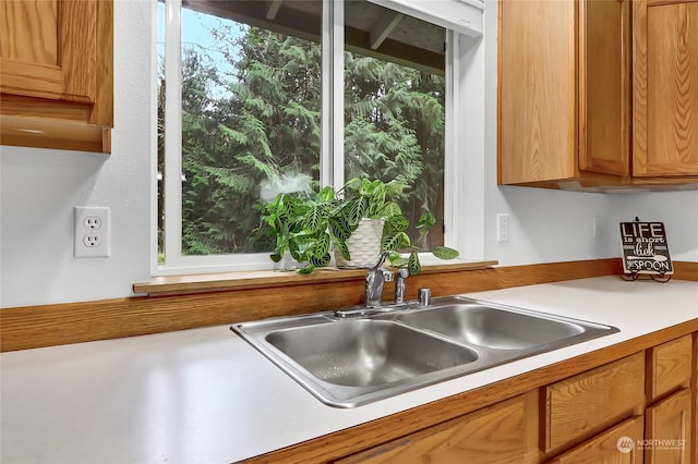 kitchen featuring sink