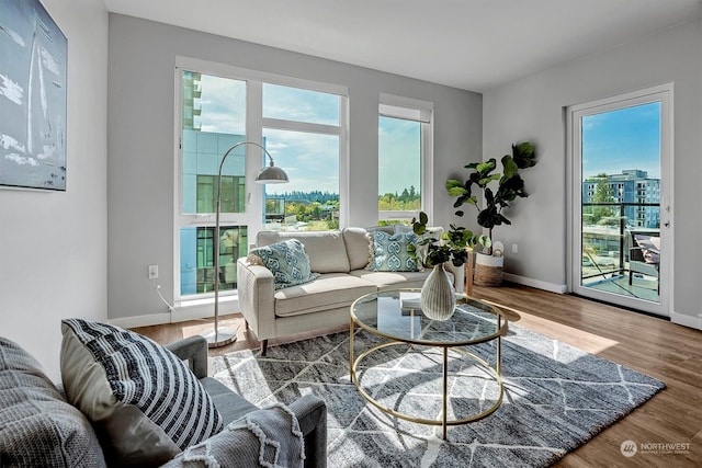 living room featuring hardwood / wood-style floors