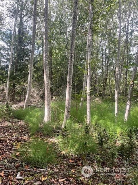 70 E Lupine Pl, Shelton, WA 98584