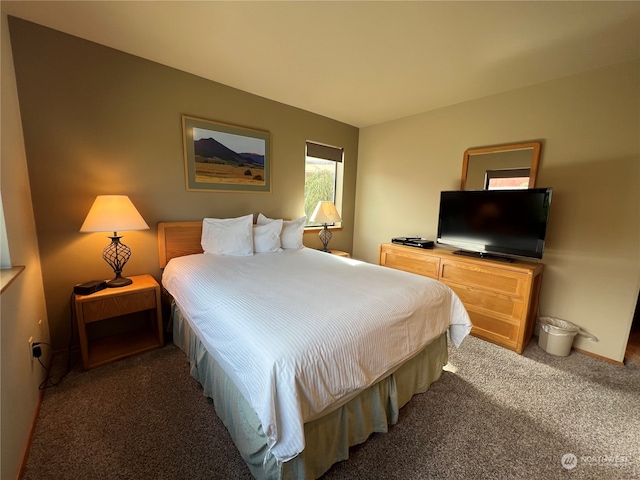 bedroom featuring dark carpet