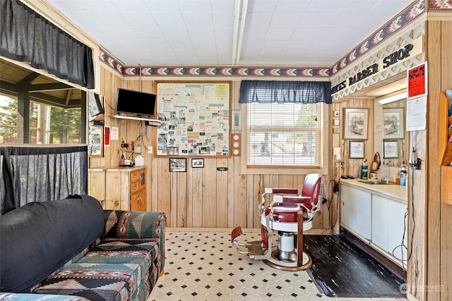 living area with wood walls and sink