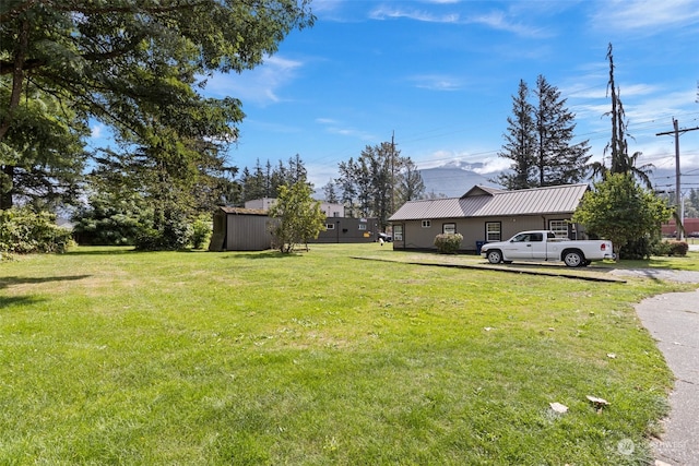 view of yard featuring a shed