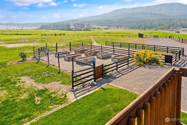 view of yard featuring a mountain view and a rural view