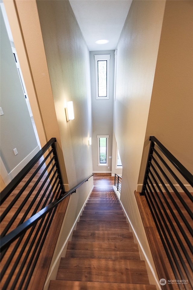 staircase with hardwood / wood-style floors