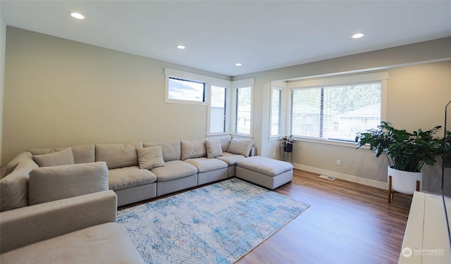 living room with hardwood / wood-style flooring