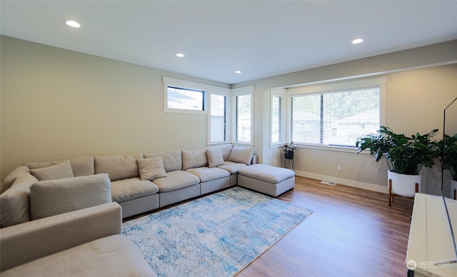 living room featuring wood-type flooring