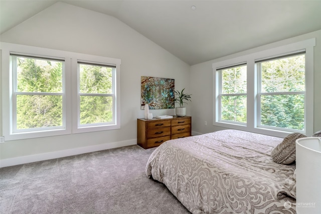 carpeted bedroom featuring lofted ceiling