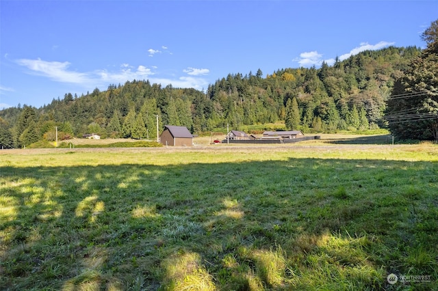 view of yard with a rural view