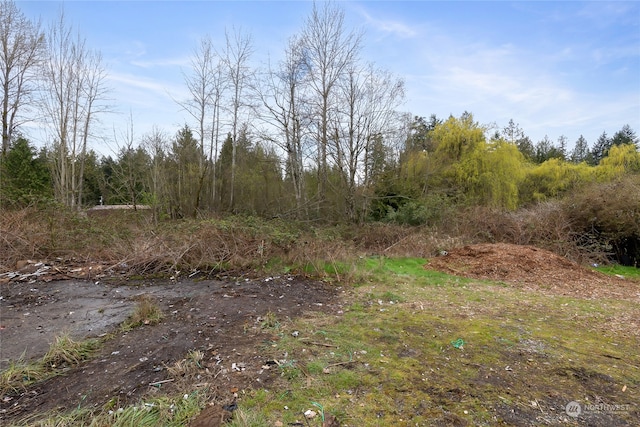 11704 Canyon Rd, Puyallup, WA 98373