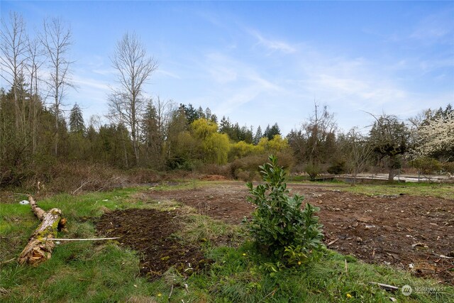 11704 Canyon Rd, Puyallup, WA 98373