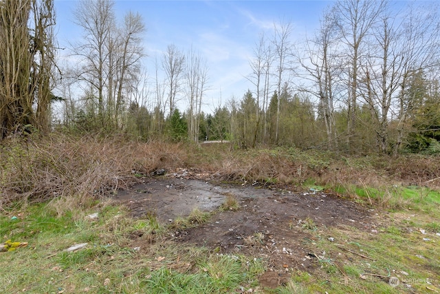 11704 Canyon Rd, Puyallup, WA 98373