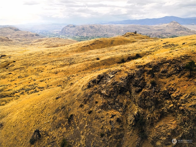 view of mountain feature