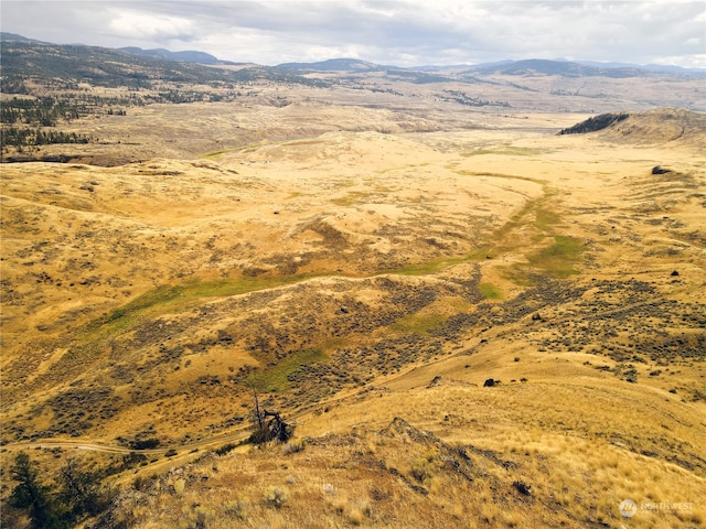 aerial view with a mountain view and a rural view