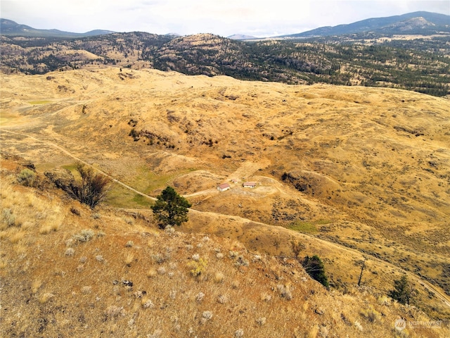 view of mountain feature