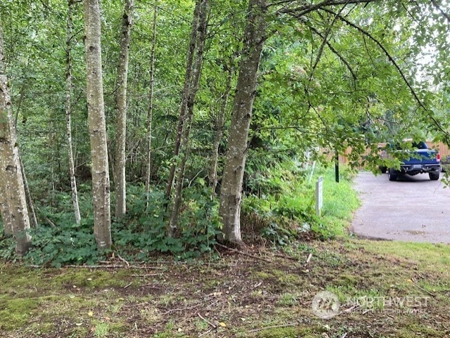 19855 SE 311th Ct, Covington, WA 98042 - photo 4