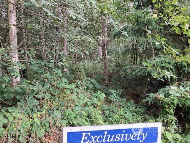 19855 SE 311th Ct, Covington, WA 98042 - photo 5