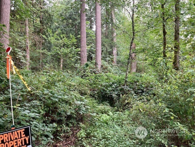 19855 SE 311th Ct, Covington, WA 98042 - photo 6