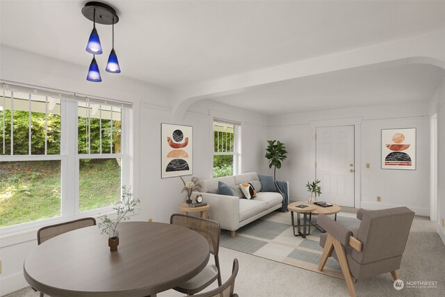 living room featuring light carpet and a healthy amount of sunlight