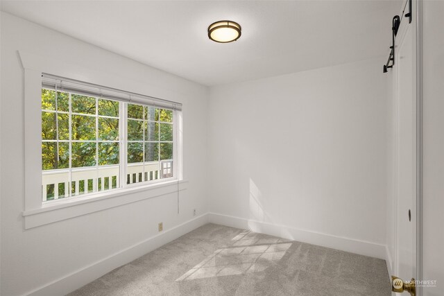 unfurnished room featuring carpet and a healthy amount of sunlight