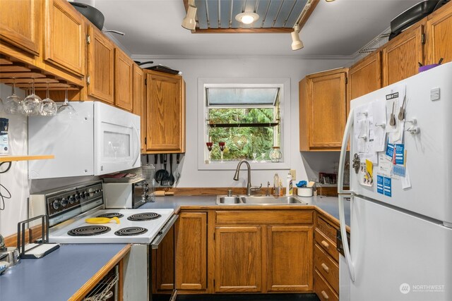 kitchen with ornamental molding, white appliances, and sink