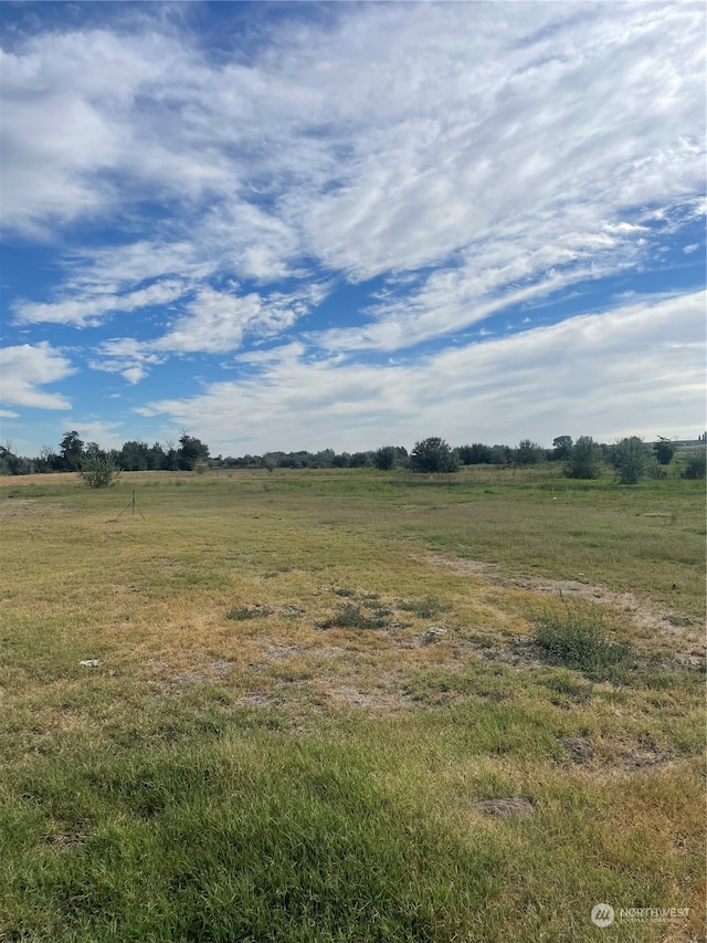 view of local wilderness with a rural view