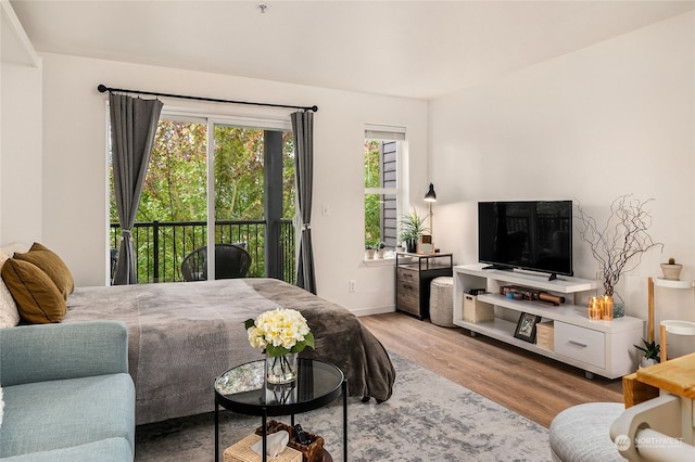 living room featuring light hardwood / wood-style flooring